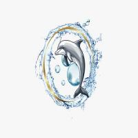 OCEANWAVE Soft & Pressure Washing