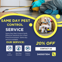 Same Day Pest Control