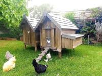 Chicken Coops Australia