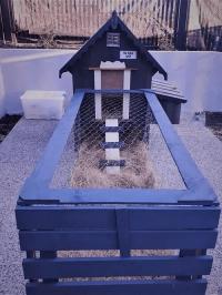 Chicken Coop and Run