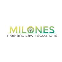 Milone's Tree & Lawn Solutions