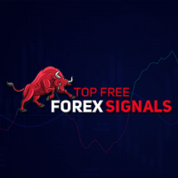 Best Forex Brokers Review