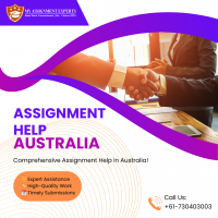 My Assignment Experts