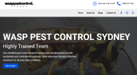 Wasp Pest Control Sydney