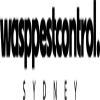 Wasp Pest Control Sydney