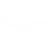 Detail Artist - Paint Protection (PPF), Vinyl Wrapping, Ceramic Coating, Chrome Delete, Window Tinting Sydney, NSW