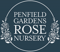 Penfield Gardens Rose Nursery