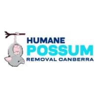 Humane Possum Removal Canberra