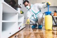 Pest Control flinders park