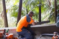 Pro Climbing Tree Services