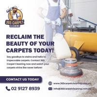 Carpet Cleaning