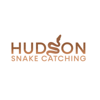 Hudson Snake Catching