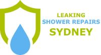 Leaking Shower Repairs Sydney