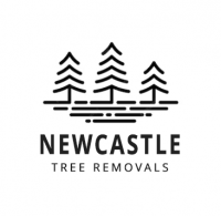 Newcastle Tree Removal Pros