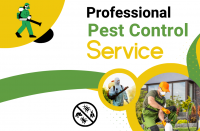 Same Day Pest Control Northcote