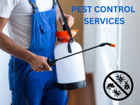 Same Day Pest Control Templestowe