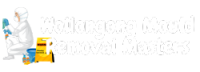 Wollongong Mould Removal Masters