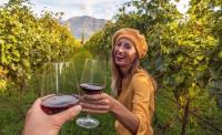 Ami Tours - Wine Tours in Yarra Valley & Mornington Peninsula