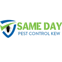 Same Day Pest Control Kew