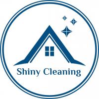 Shiny Cleaning