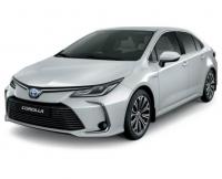 Spottocarrentals