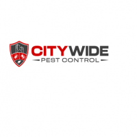 City Wide Bed Bug Control Adelaide