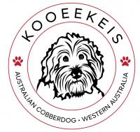KooeeKeis Australian Cobberdogs