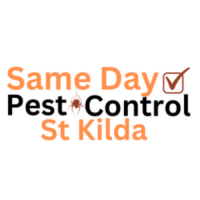 Same Day Pest Control St Kilda