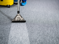 Port Melbourne Emergency Carpet Cleaning