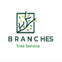 Branches Tree Service  Denistone