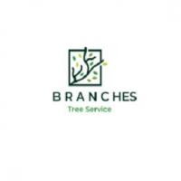Branches Tree Service Gladesville