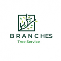 Branches Tree Service Marsfield