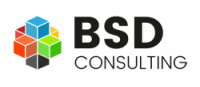 BSD Consulting