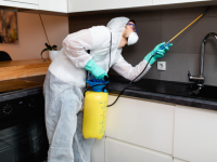 Critter Pest Control Sydney