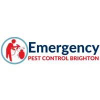 Emergency Pest Control Brighton