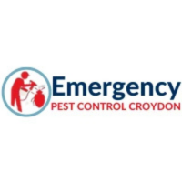 Emergency Pest Control Croydon