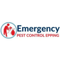 Emergency Pest Control Epping
