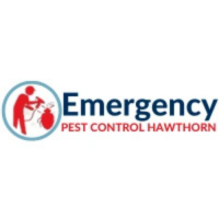 Emergency Pest Control Hawthorn