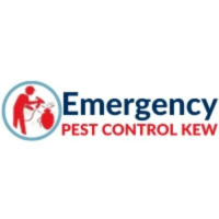 Emergency Pest Control Kew