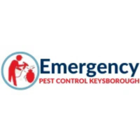 Emergency Pest Control Keysborough