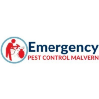Emergency Pest Control Malvern