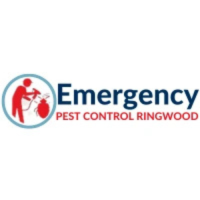 Emergency Pest Control Ringwood