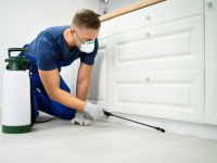 GS Murphy Pest Control Wolli Creek