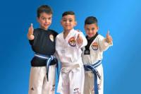 Pinnacle Taekwondo Martial Arts In Penrith