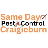 Same Day Pest Control Craigieburn