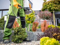 TermiGuard Pest control