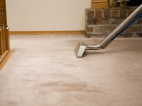 Wayne's Carpet Cleaning