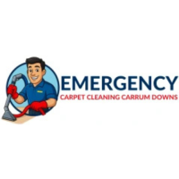 Emergency Carpet Cleaning Carrum Downs