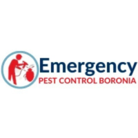 Emergency Pest Control Boronia