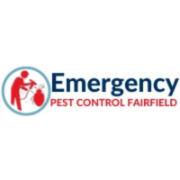 Emergency Pest Control Fairfield